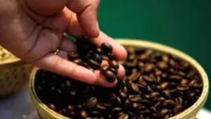 High Adults, Hard Won: Inside of the Caffeinet of India’s Caffeinet