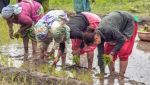 Agriculture Minister says that communication with farmers will continue; The 15-day-day agricultural campaign concludes