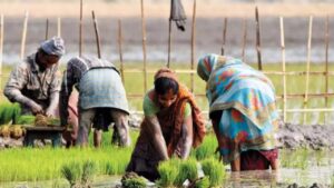 China now hinders agriculture to India by Magnette